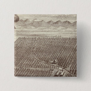 Chapin Obstranch Button