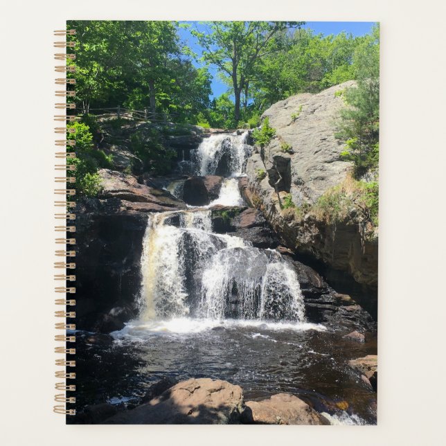 Chapman Falls (Devant)