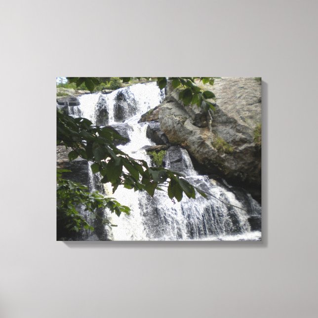 Chapman Falls Enveloppé toile Imprimer (Recto)