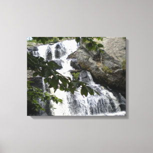 Chapman Falls Wrapped Canvas Print Leinwanddruck