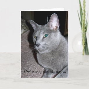 Chaque carte de chien