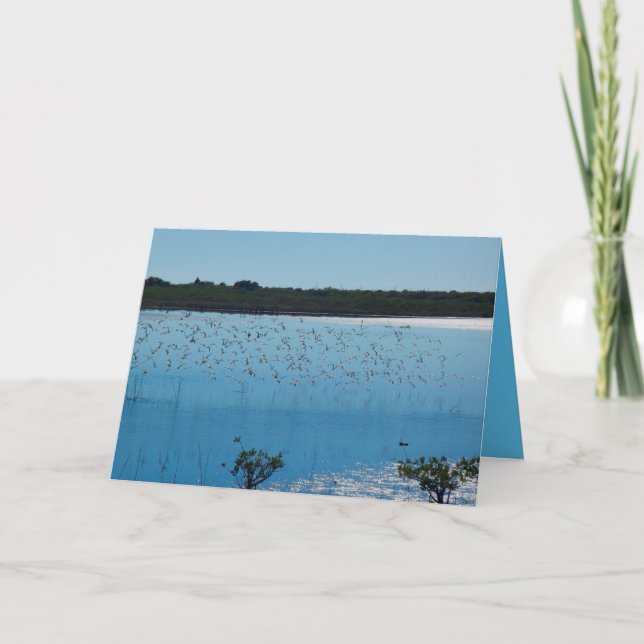 Charadriidés sur la carte de voeux d'aile (Devant)