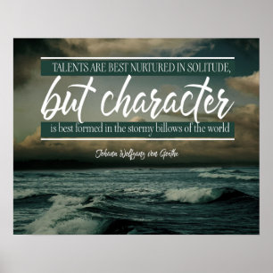 Charakter ist am wohlgeformtesten poster