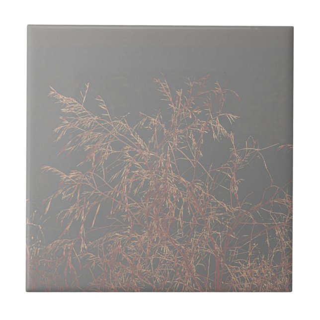 Charcoal Gray Golden Tree Brunches Sky Fliese (Vorderseite)