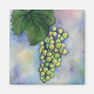 Chardonnay Aimant aux raisins de vin