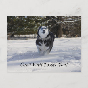 Chargement par carte postale