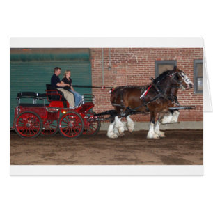 Chariot de Clydesdales