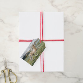 Charismatische Pinto-Isländer-Stute Aquarell Geschenkanhänger