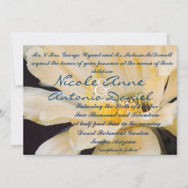 Charlemagne Echinopsis in Blüte Einladung