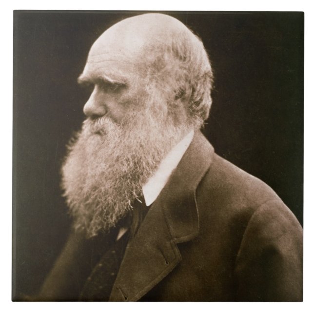 Charles Darwin (1809-82) (Foto) Fliese (Vorderseite)