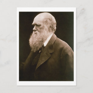 Charles Darwin (1809-82) (Foto) Postkarte