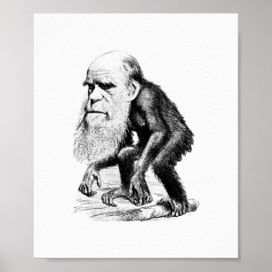 Charles Darwin als Affe Poster