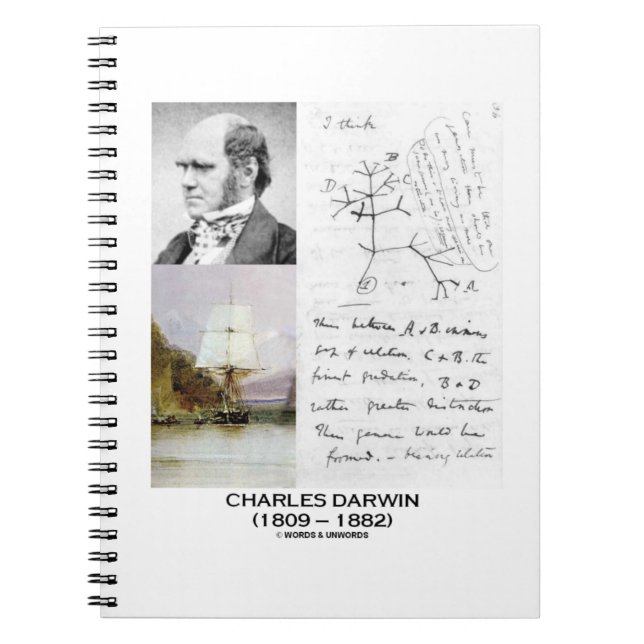 Charles Darwin (Darwin HMS Beagle Phylogenetics) Notizblock (Vorderseite)
