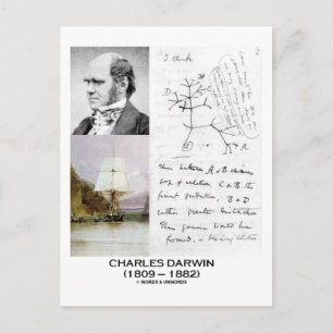 Charles Darwin (Darwin HMS Beagle Phylogenetics) Postkarte