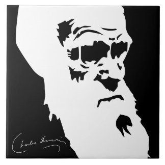 Charles Darwin-Fliese Fliese