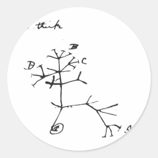 Charles Darwin - I Think (schwarz) Runder Aufkleber