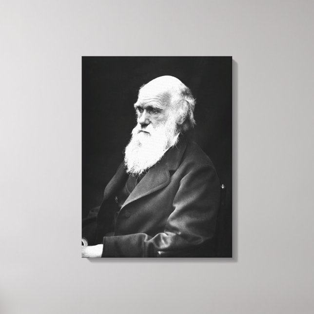Charles Darwin Portrait Leinwanddruck (Vorderseite)