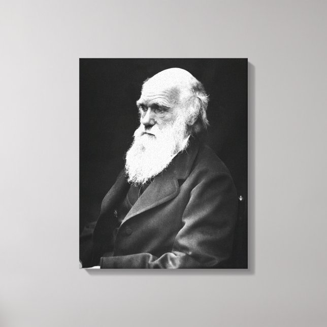 Charles Darwin Portrait Leinwanddruck (Vorderseite)