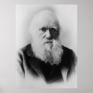 Charles Darwin Portrait von Elliott und Fry Poster