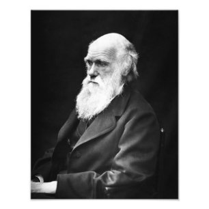 Charles Darwin Porträt Fotodruck