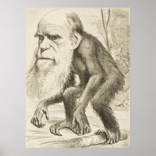 Charles Darwin Poster