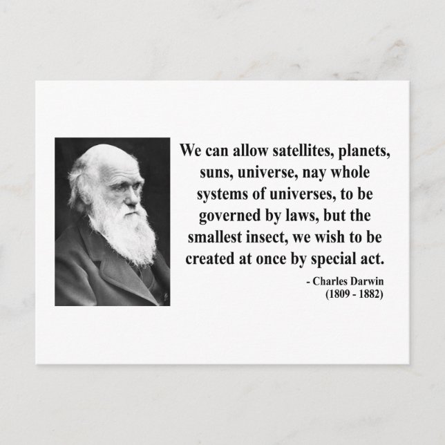 Charles Darwin Quote 4b Postkarte (Vorderseite)
