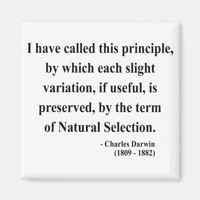 Charles Darwin Quote 6a Magnet (Vorne)