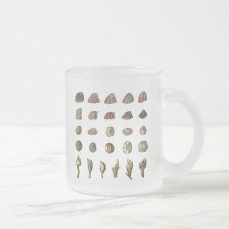 Charles Darwin Rankenfußkrebs-Tasse Mattglastasse