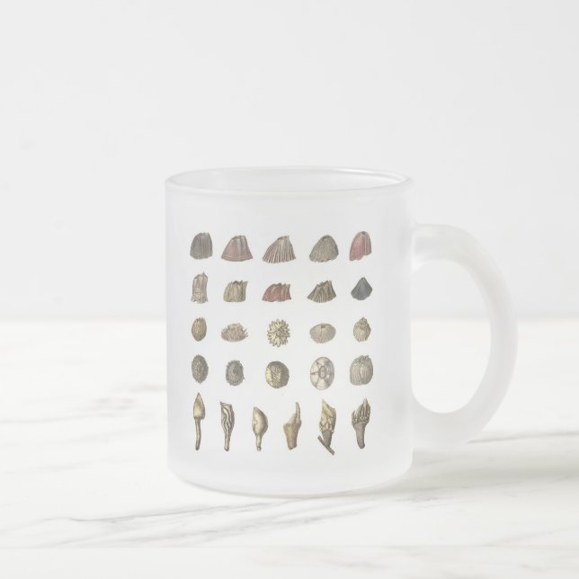 Charles Darwin Rankenfußkrebs-Tasse Mattglastasse (Rechts)
