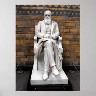 Charles Darwin Statue Poster