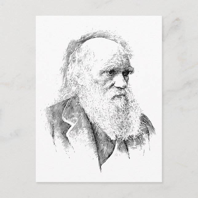 Charles Darwin, The Origin of Species 1872 Postkarte (Vorderseite)
