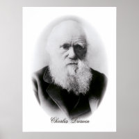 Charles Darwin Vignette