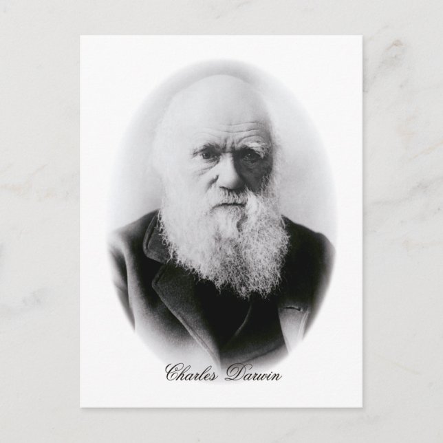 Charles Darwin Vignette Postkarte (Vorderseite)