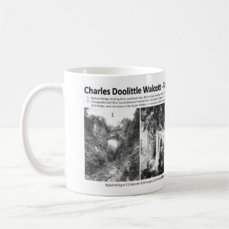 Charles Doolittle Walcott I - Vorangehen mit Kaffeetasse