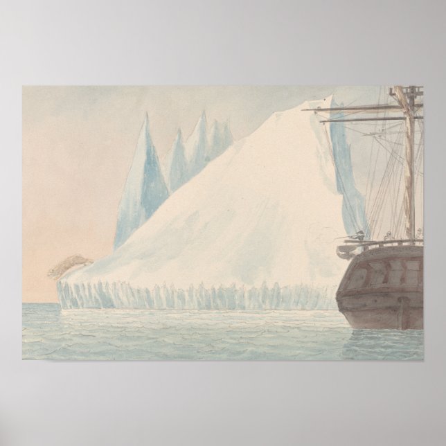 Charles Hamilton Smith - Ein Eisberg und ein Eisbä Poster (Vorne)
