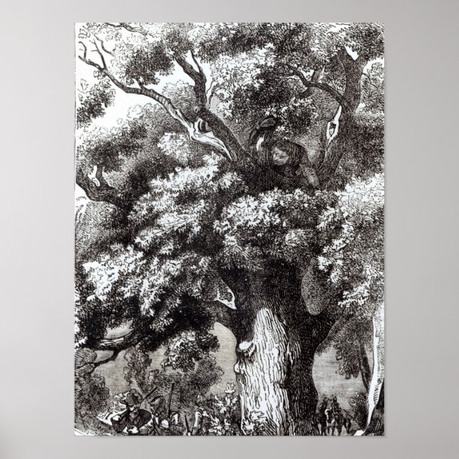 Charles II versteckt im Eichenbaum Poster (Vorne)
