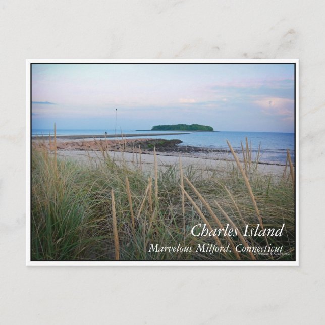 Charles Island Postkarte (Vorderseite)