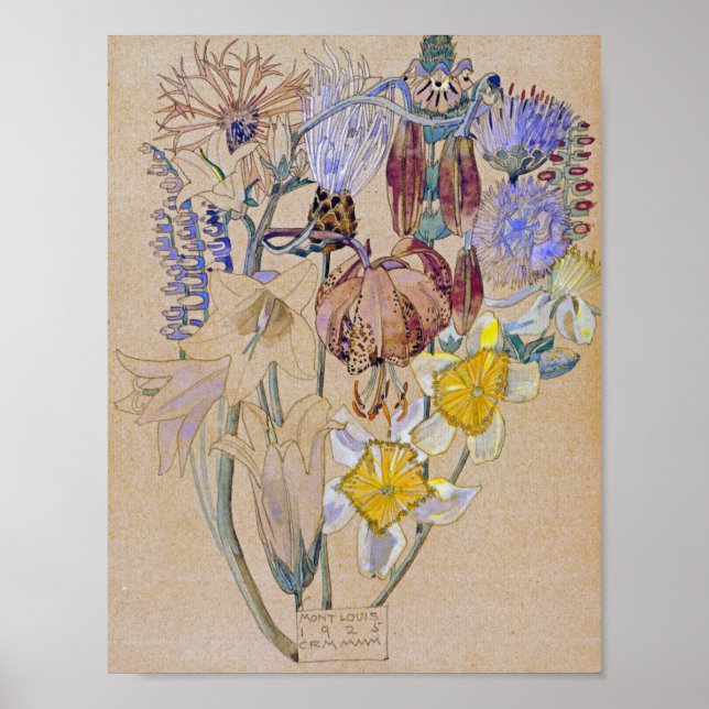 Charles Rennie Mackintosh - Mont Louis - Blume Poster (Vorne)