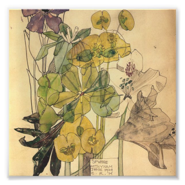 Charles Rennie Mackintosh - Spdrom mit Yham 1909 Fotodruck (Vorne)