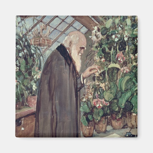 Charles Robert Darwin Magnet (Vorne)