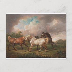 Charles Towne Art Malerei Öl Pferde Schicksal Postkarte