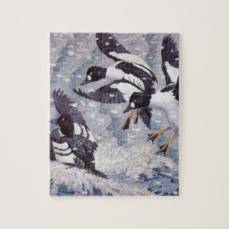 Charles Tunnicliffe Goldeneyes-Enten