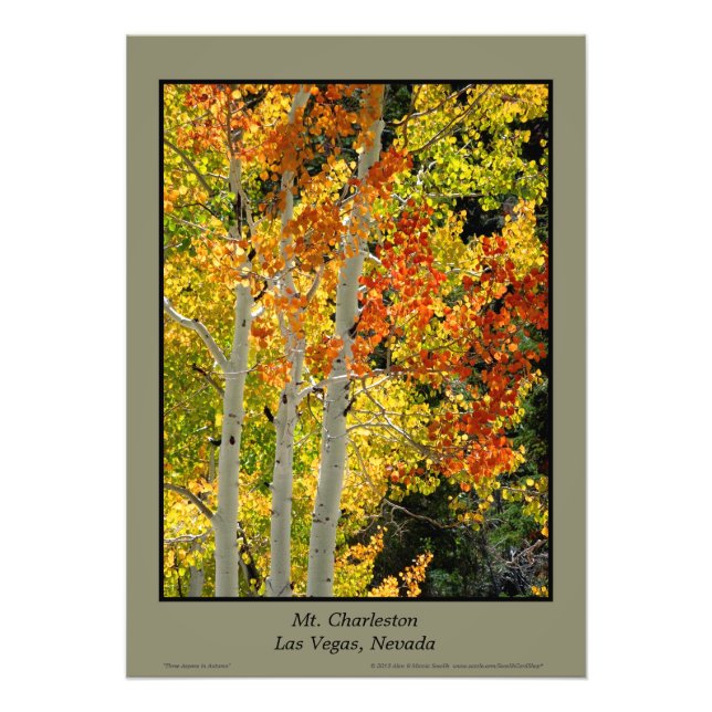 Charleston NV Herbst Aspen Trees Poster (Vorne)