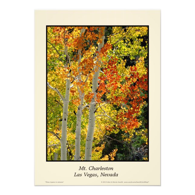 Charleston NV Herbstaspen 20"x28" Poster (Vorne)