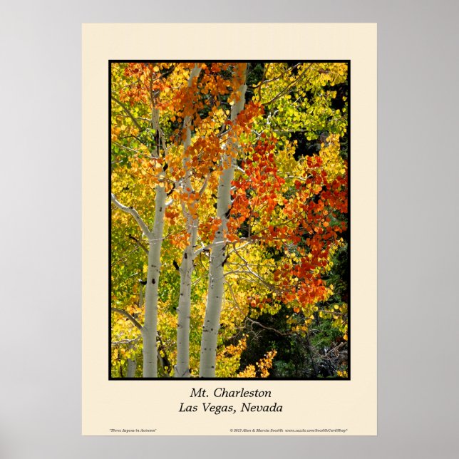 Charleston NV Herbstfall Farbe Aspen Kunst Poster (Vorne)