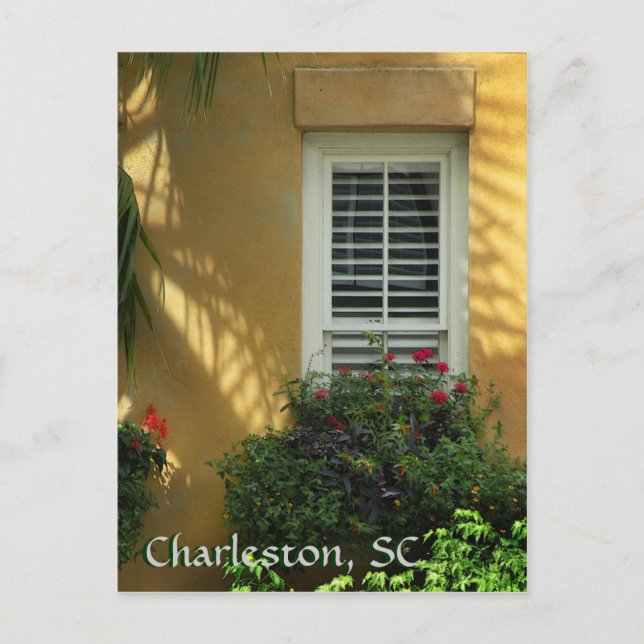 Charleston Pinckney St. Post Card Postkarte (Vorderseite)