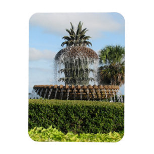 Charleston Sc-Ananas-Brunnen-Magnet Magnet