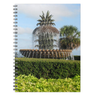 Charleston Sc-Ananas-Brunnen-Notizbuch Notizblock