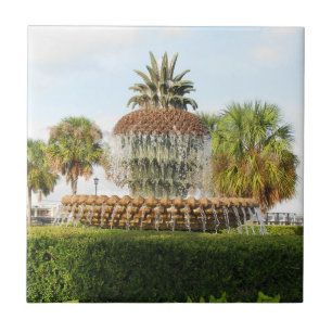 Charleston Sc-Ananas-Brunnen, Ufergegend-Park Fliese