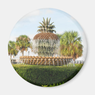 Charleston Sc-Ananas-Brunnen, Ufergegend-Park Magnet